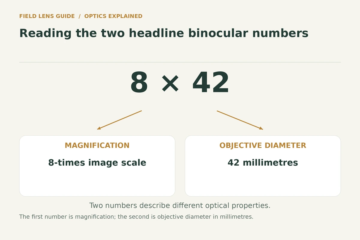 8x42 separated into 8-times magnification and 42 mm objective diameter
