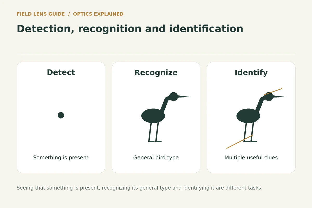 Three illustrated stages from noticing a distant shape to recording identifying features